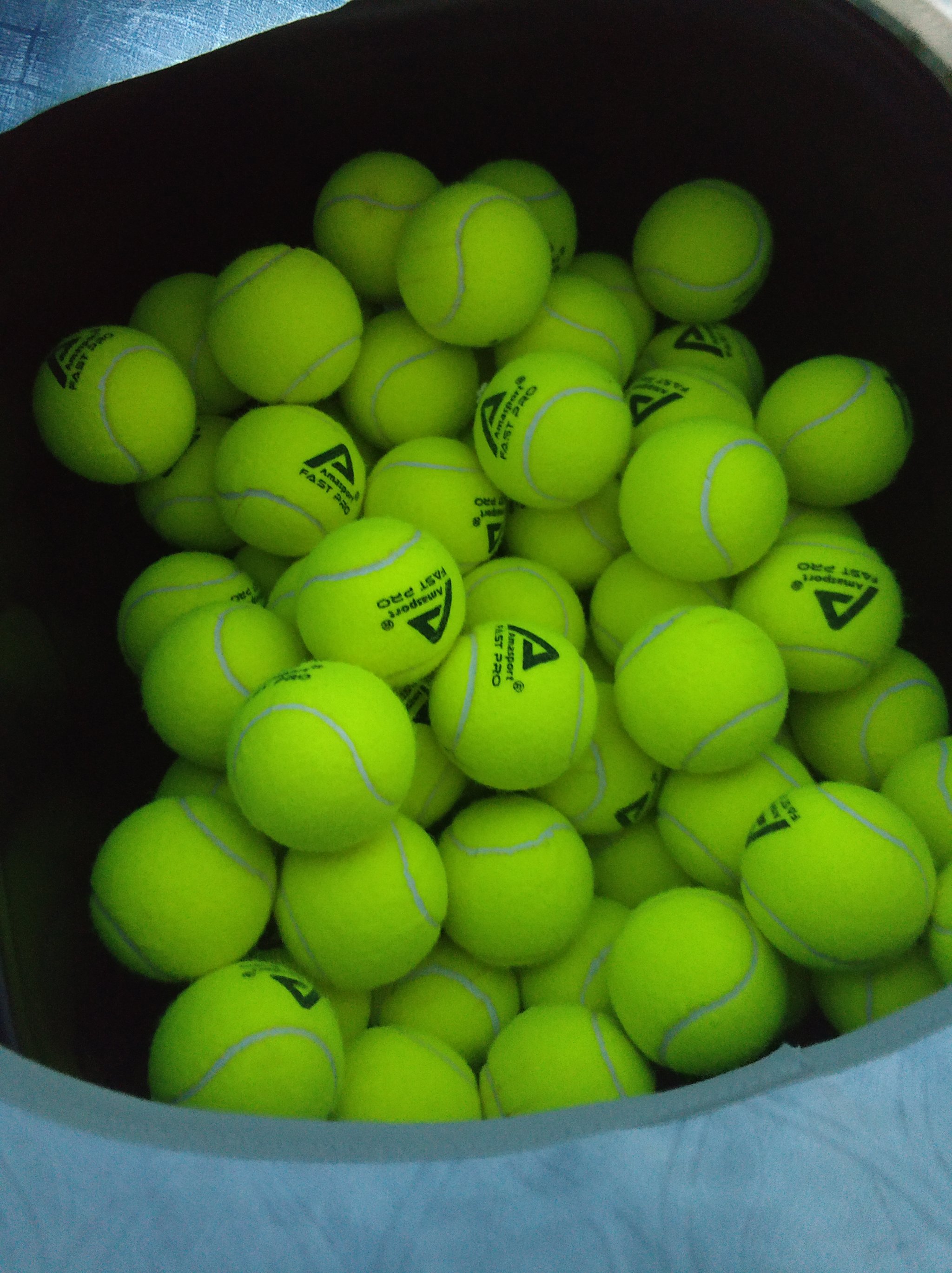 年夏天引进 年夏天引进